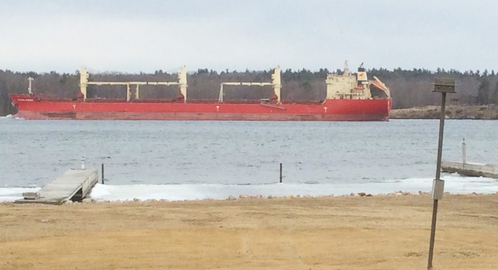 St. Lawrence Seaway open Newzjunky