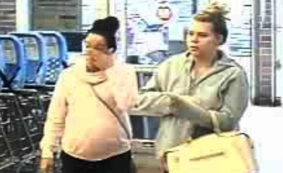 NYSP Update 2 Watertown women identified, charged with petit larceny